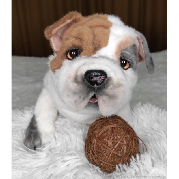 Bulldog V.2 (43 cm) Plush Toy