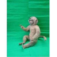 Monkey (45 cm) Plush Toy