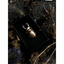 Stag-Beetle Ring