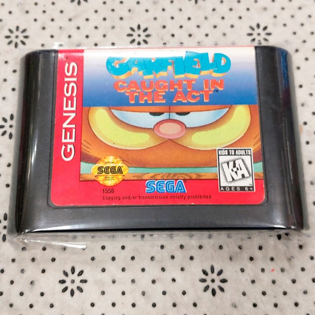 (Buy out) Garfield: Caught in the Act Game