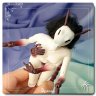 Original character Figure (Example of work)