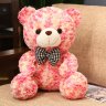 Teddy Bear Plush Toy (Red)