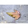 Ginnala Maple Brooch