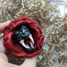Snake In Rose Brooch