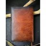 Lion Diary Cover