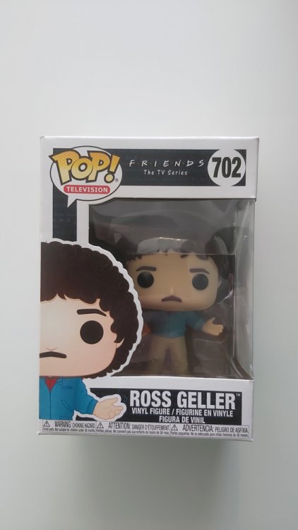 Funko POP TV: Friends - Ross Geller #702 Figure (Used)