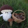 Mushroom Plush Toy