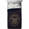 Jay Franco and Sons Harry Potter - Spellbound Set Of Bed Linen