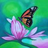 Oil pastel painting “Butterfly on a Magnolia Flower”