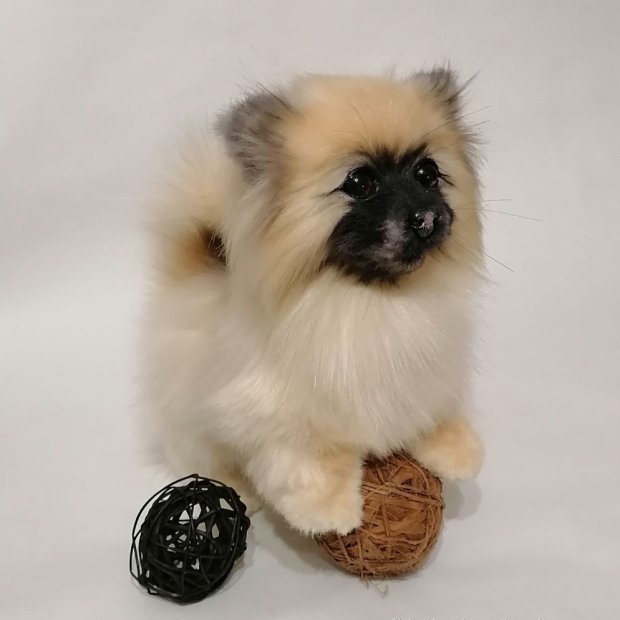 Spitz (22 cm) Plush Toy