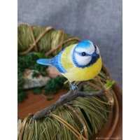 Tit V.2 Figure