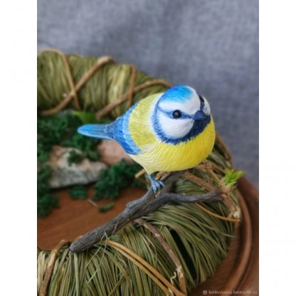 Tit V.2 Figure