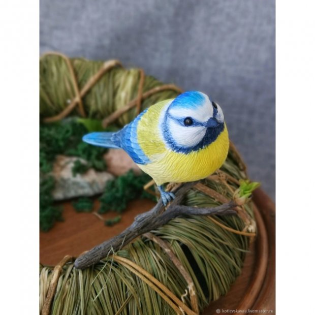 Tit V.2 Figure