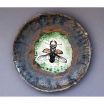 Beetle Flight Plate
