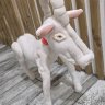 Long Horse Plush Toy
