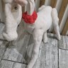Long Horse Plush Toy