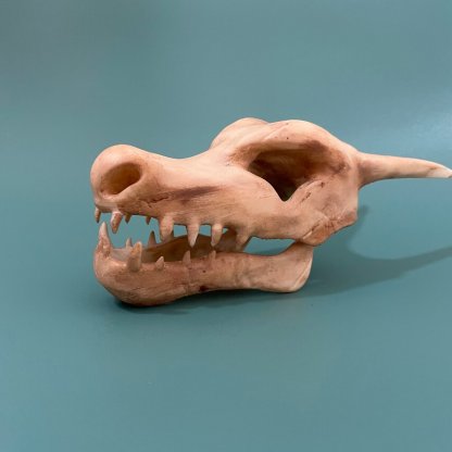 Pokemon - Charizard Skull Figure