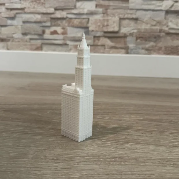 Woolworth Building - New York Printed Figure