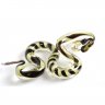 Striped Snake Figure