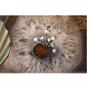 Seashell Barrette