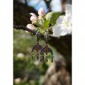 Handmade Crescent Earrings