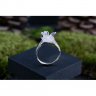 Queen Of North Ring