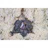 Blackcurrant Pendant Necklace