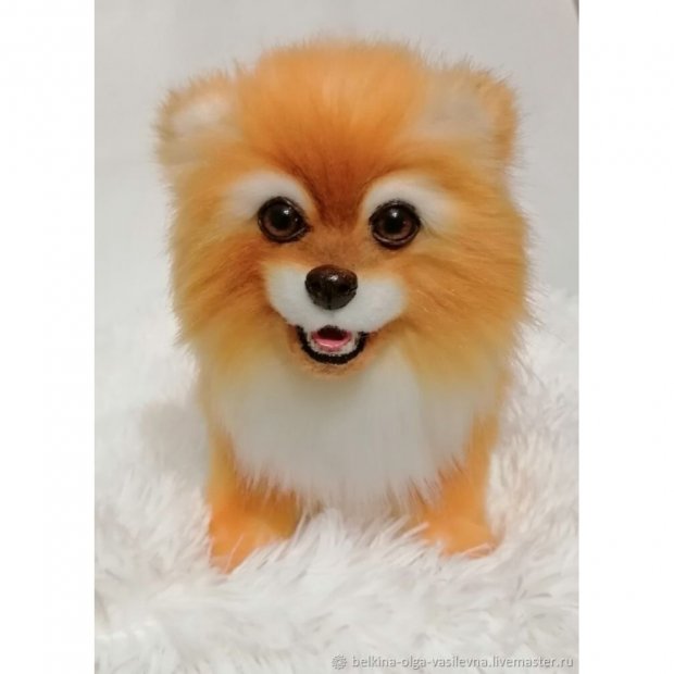 Spitz V.2 (22 cm) Plush Toy