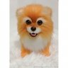 Spitz V.2 (22 cm) Plush Toy