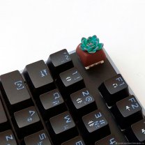 Succulent Custom Keyboard Keycap