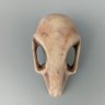 Alien Bird Skull Magnet