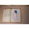 Curious Penguin Bookmark