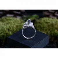 Ice Mountain V.2 Ring