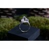 Ice Mountain V.2 Ring