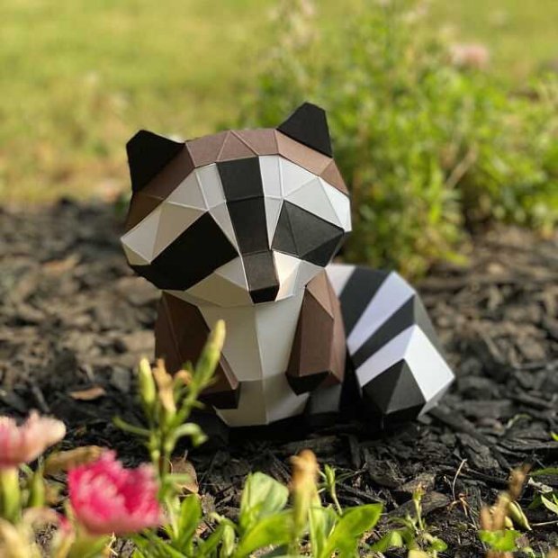 Raccoon 3D Building Set