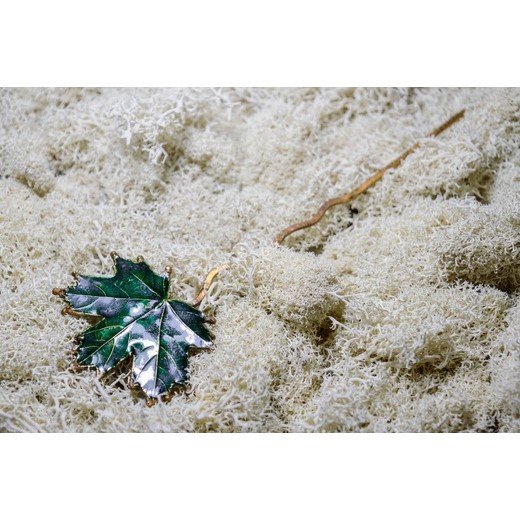Green Maple Hair Pin