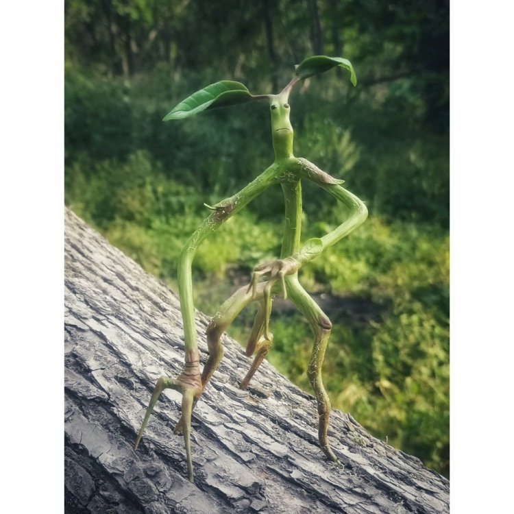 Handmade Fantastic Beasts And Where To Find Them - Bowtruckle Pickett Figure