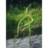 Handmade Fantastic Beasts And Where To Find Them - Bowtruckle Pickett Figure