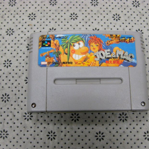 (Buy out) Joe & Mac Game