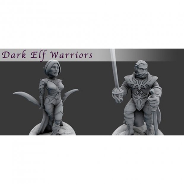 Dark Elf Warriors Figure (Unpainted)