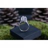 Ice In Branches Ring
