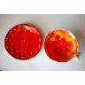 Big Fly Agaric Mug With Saucer