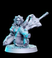 Paladin on the chill Figure (Unpainted)