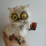 Morning Owl (17 cm) Plush Toy