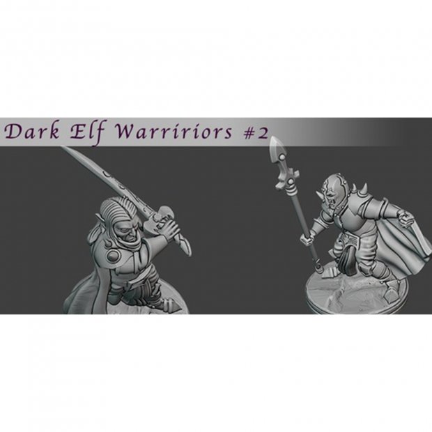 Dark Elf Warriors 02 Figure (Unpainted)