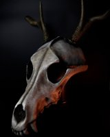 Wolf Skull with Horns Mask
