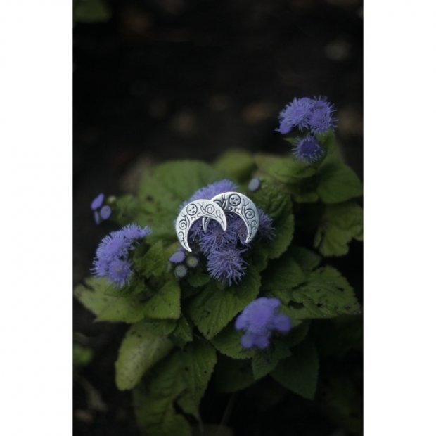 Moon Stud Earrings