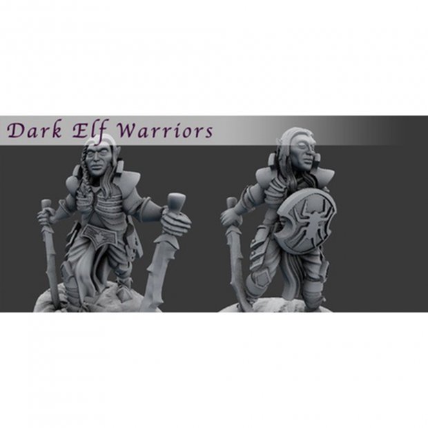 Dark Elf Warriors 03 Figure (Unpainted)