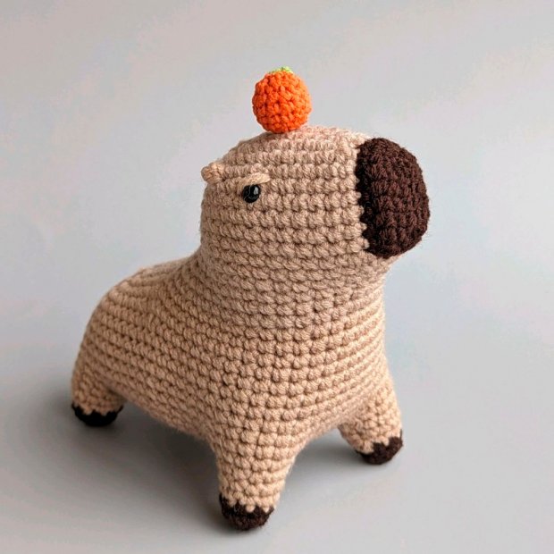 Capybara with Orange Plush Toy