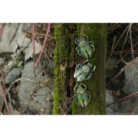 Green Bug Brooch